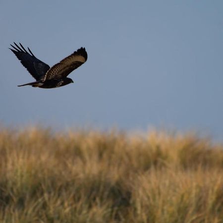 Appartement Seabird Zandvoort Dış mekan fotoğraf