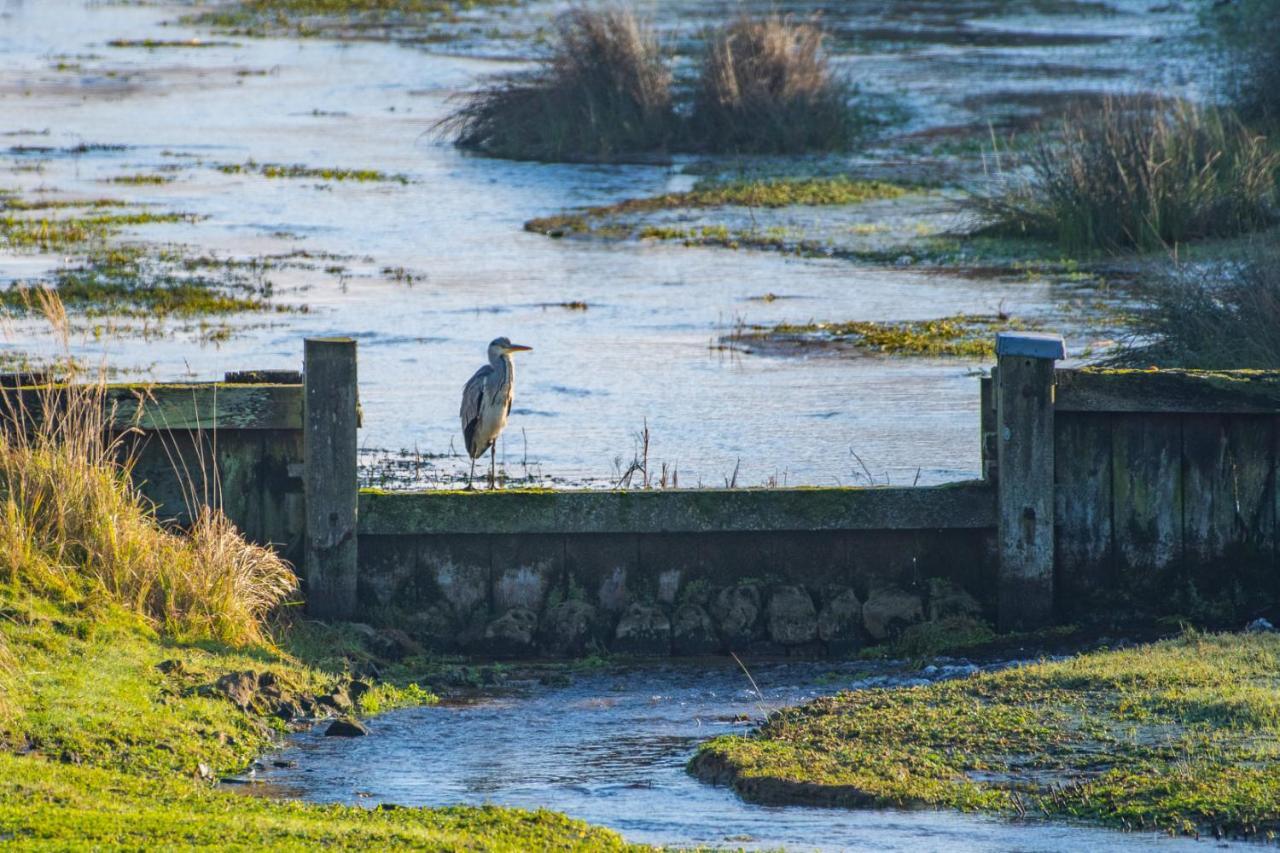 Appartement Seabird Zandvoort Dış mekan fotoğraf