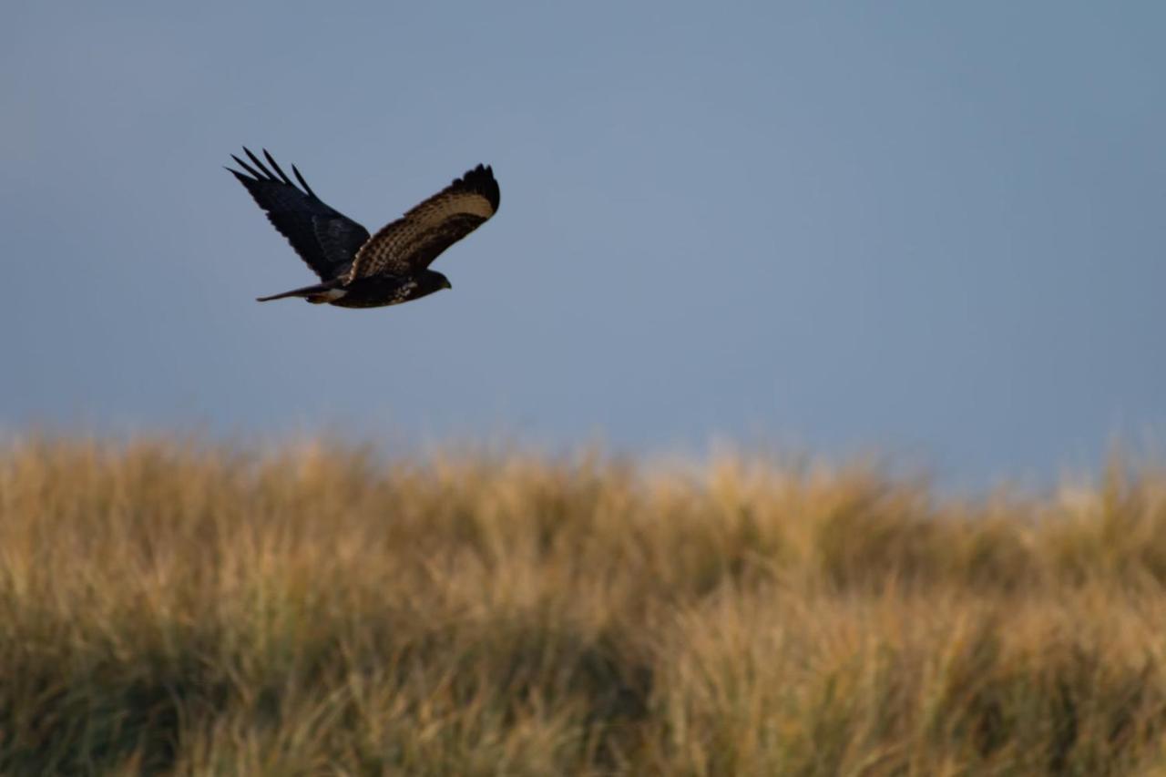 Appartement Seabird Zandvoort Dış mekan fotoğraf