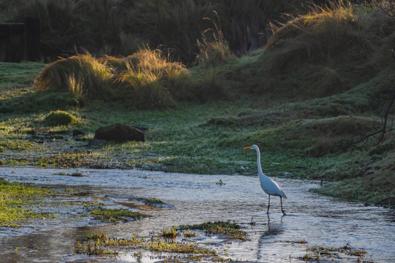 Appartement Seabird Zandvoort Dış mekan fotoğraf